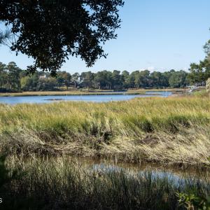 6954 Runningbrook Terr Lot MLS-10