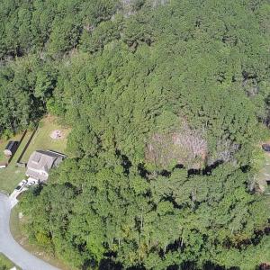 IMG_20251017_11360700