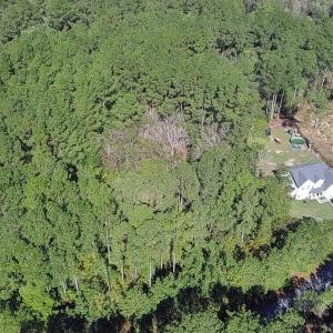 IMG_20251017_11340400