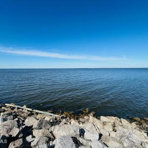 Summerby 2 Looking Oout