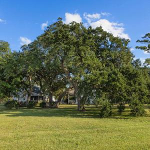 5-web-or-mls-1S3A0779