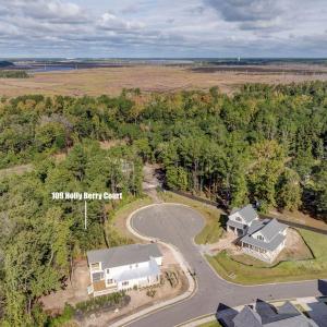 109HollyBerryCourtDrone-8