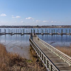 PreservationPointDrone-6