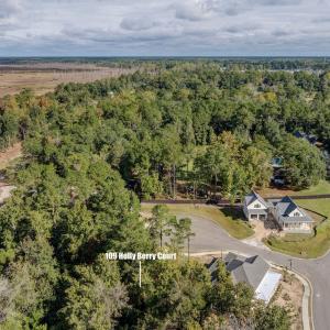 109HollyBerryCourtDrone-7