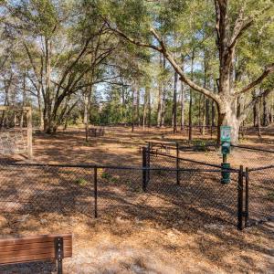 PreservationPointDrone-18