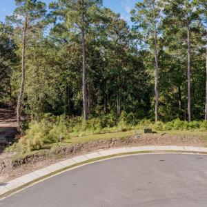 109HollyBerryCourtDrone-1