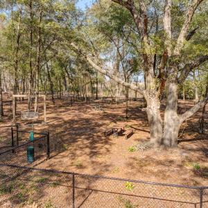 PreservationPointDrone-19