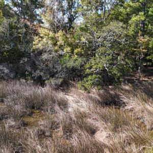 DJI_20251022140355_0538_D Large