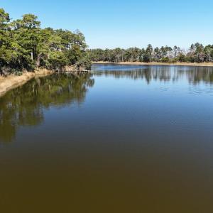 DJI_20251022140433_0542_D Large