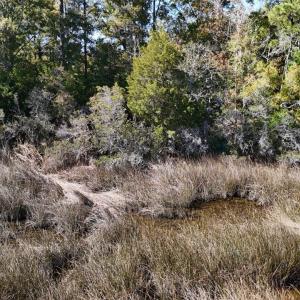 DJI_20251022140414_0540_D Large