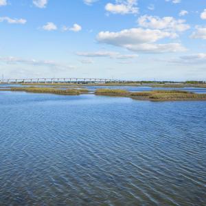 8-web-or-mls-_S3A7938