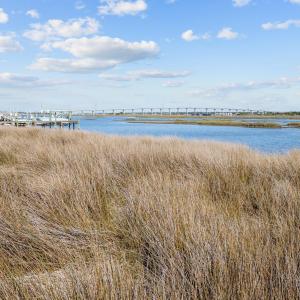 5-web-or-mls-_S3A7930