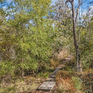 14-web-or-mls-DJI_20251020132710_0088_D