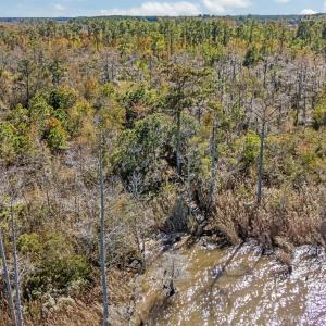 20-web-or-mls-DJI_20251020135809_0098_D