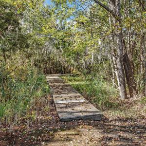 28-web-or-mls-IMG_1883