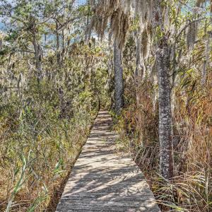 30-web-or-mls-IMG_1885