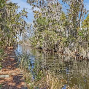 27-web-or-mls-IMG_1881