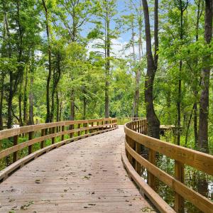 bluffs trail