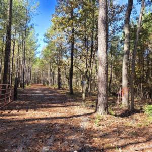 drive:roadtobothtracts