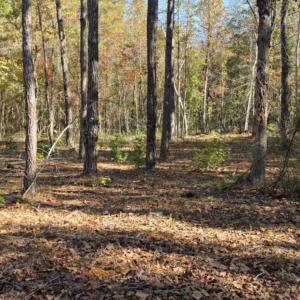 lookingtotract1fromeasement