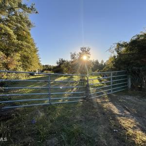 Front Gate on Green Hill Rd