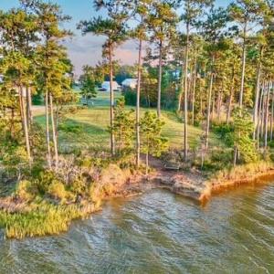 Close Up from Broad Creek