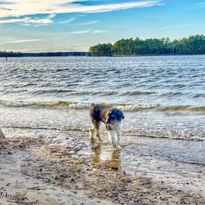 659A4D6D-FC91-4990-9079-02ADFCBAD4E2