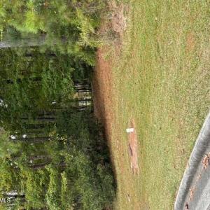 wooded, cul-de-sac lot