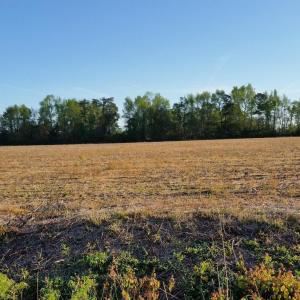 20160406133229098280000000-o