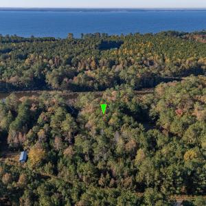 2_photo--tarpon-pointe-road