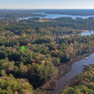 6_photo--tarpon-pointe-road