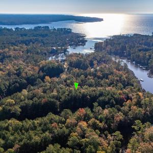 1_photo--tarpon-pointe-road