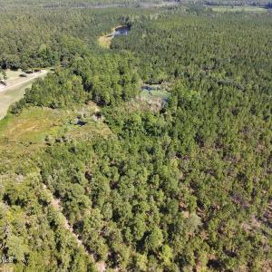 Photo #4 of Trt 11 Peach Orchard, Wagram, NC 11.0 acres