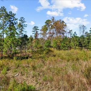 03-dji_fly_20240202_055616_0105_17611637