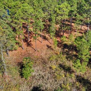 07-dji_fly_20240202_055704_0109_17611637