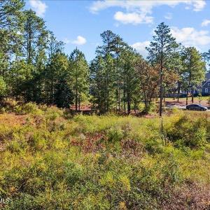 01-dji_fly_20240202_055644_0107_17611637