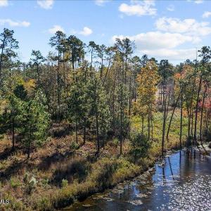 05-dji_fly_20240202_055728_0111_17611637