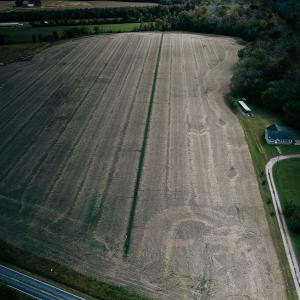 Lot C