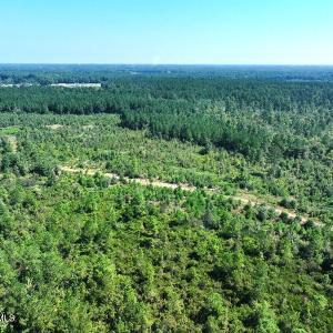 DJI_20250809040016_0600_D