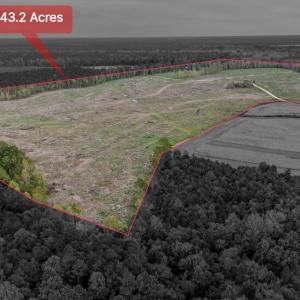 Screenshot-2025-10-16-123829