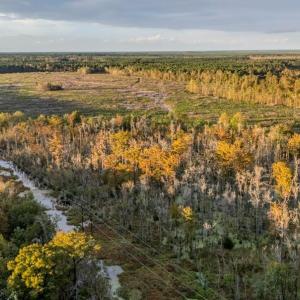 Screenshot-2025-10-16-123439