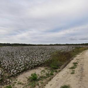 Screenshot-2025-10-16-123626