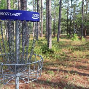 Disc Golf4