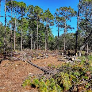 1349LexingtonRd - 4