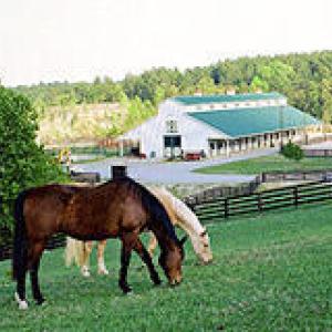 McHills Horse Barn