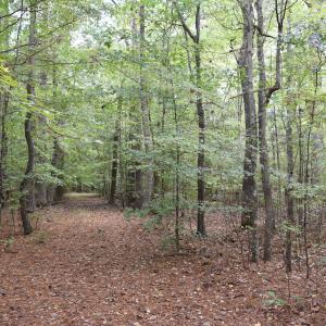 12.4 acs- Sand Hills Rd