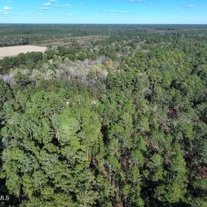 DJI_20251021081335_0686_D