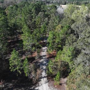 DJI_20251021081217_0681_D