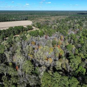 DJI_20251021081237_0682_D