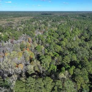 DJI_20251021081241_0683_D